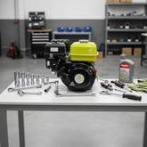 Motor Bonhoeffer 5.5 HP en servicio técnico